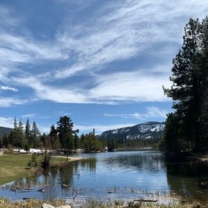 Meet your Posher, Silver